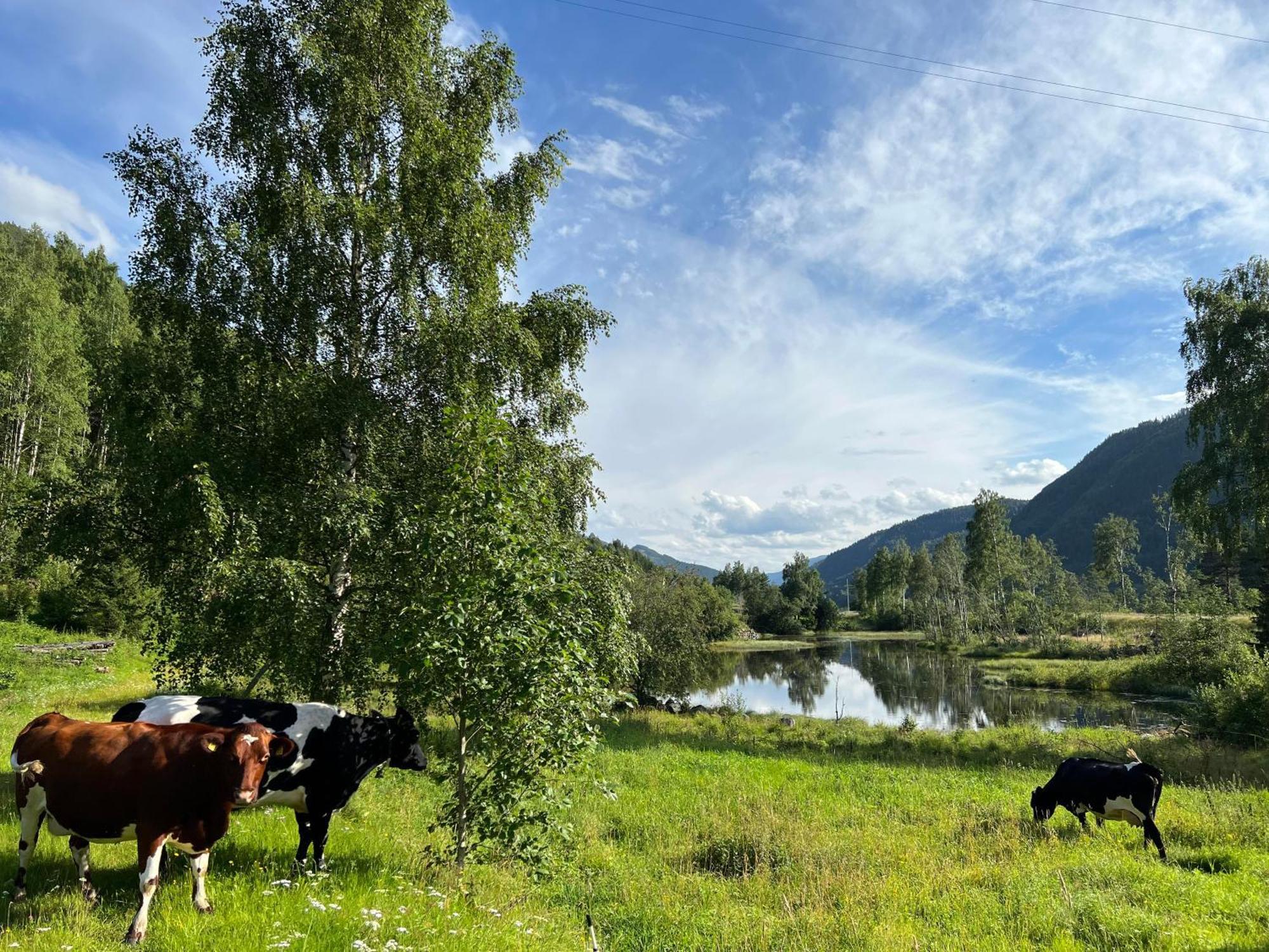 Sevletunet B&B And Cabins Rodberg 외부 사진
