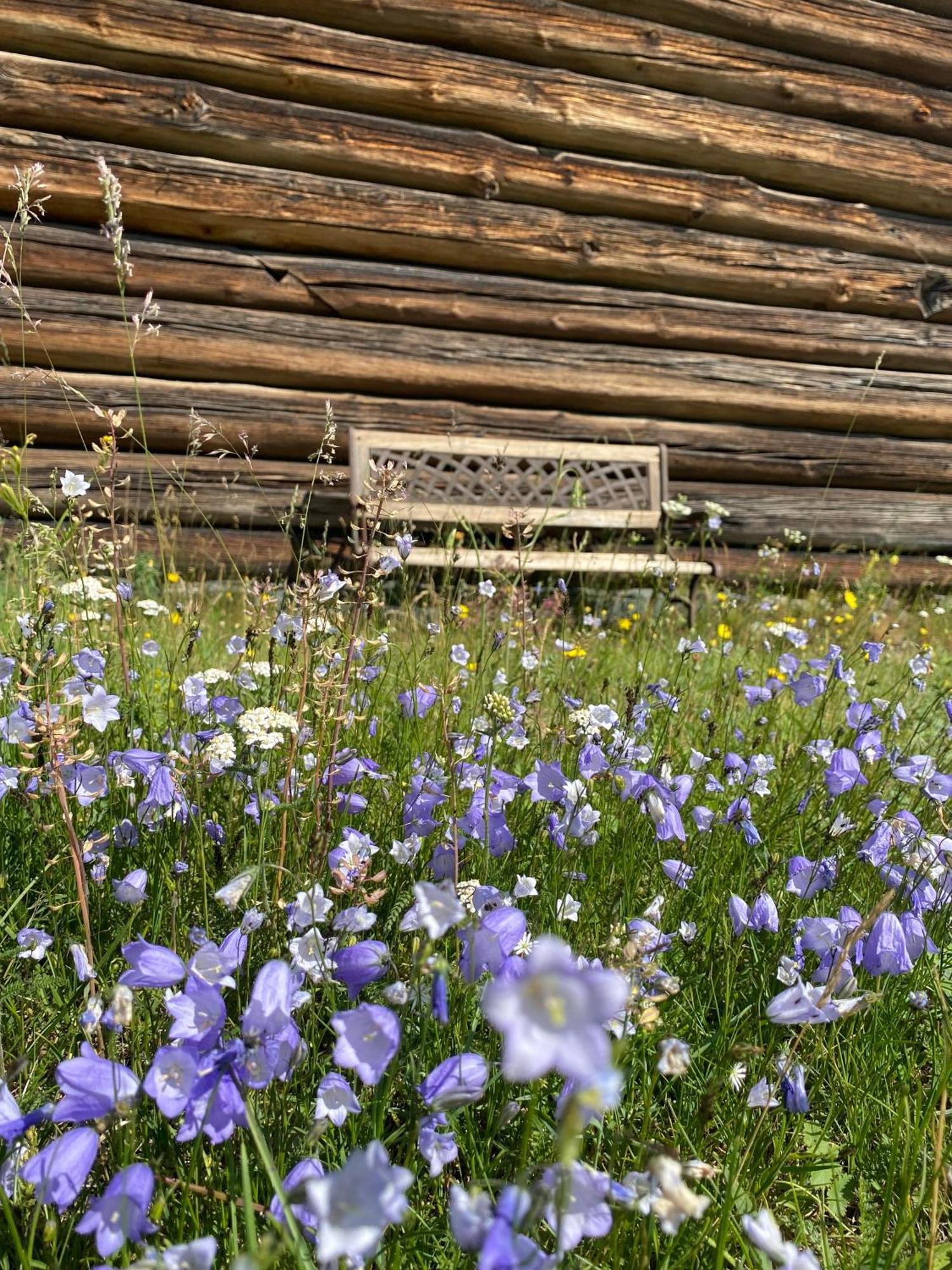 Sevletunet B&B And Cabins Rodberg 외부 사진